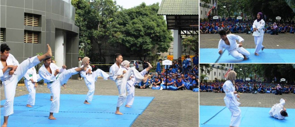Atraksi Kempo Mahasiswa Universitas Esa Unggul