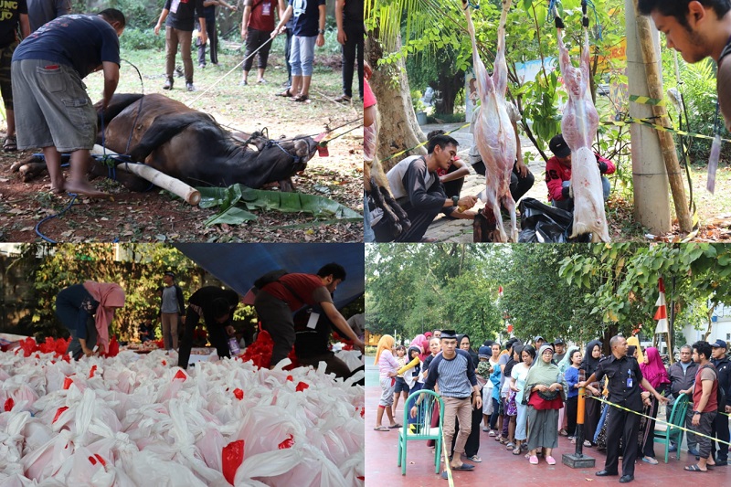 Suasana saat pemotongan dan pembagian hewan kurban