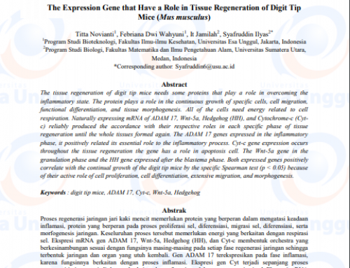 The Expression Gene That Have A Role In Tissue Regeneration Of Digit Tip Mice (Mus Musculus)