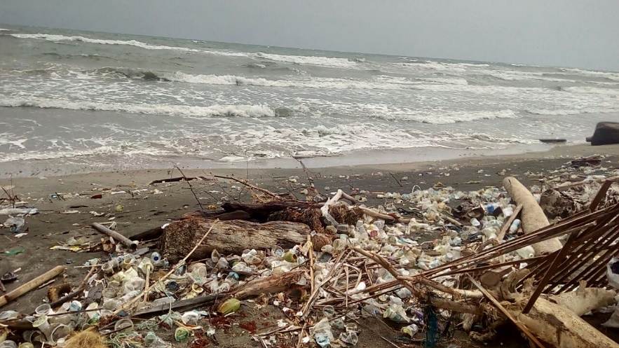 Polusi Sampah di Laut