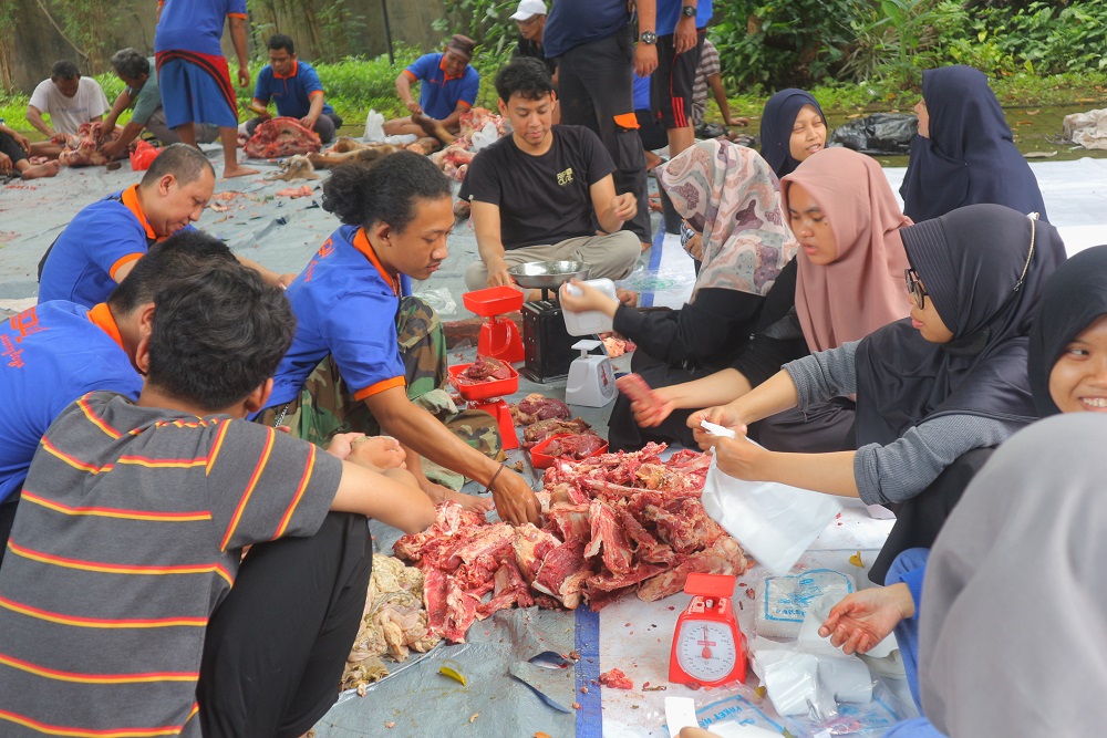 Distribusi Pemotongan Hewan Kurban