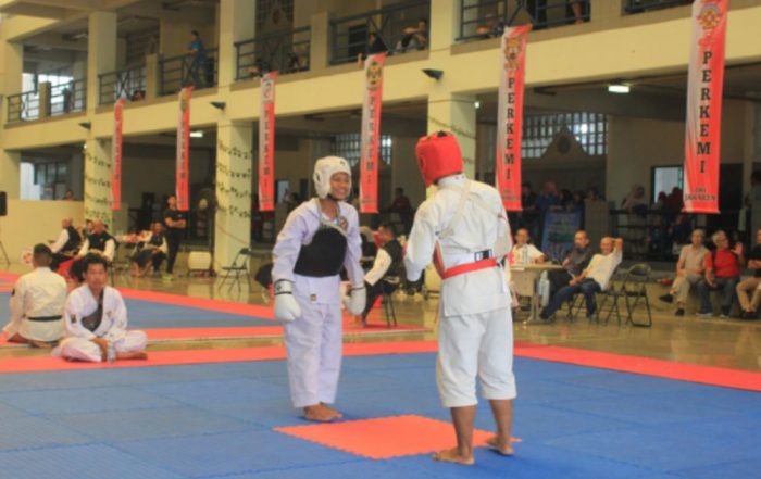 shorinji kempo